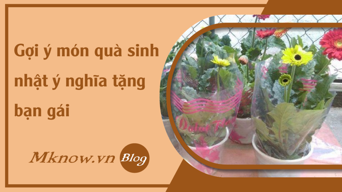 goi-y-mon-qua-sinh-nhat-y-nghia-tang-ban-gai